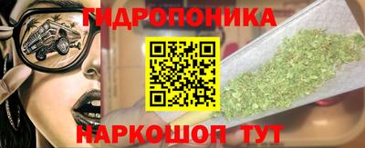 шишки Пенза