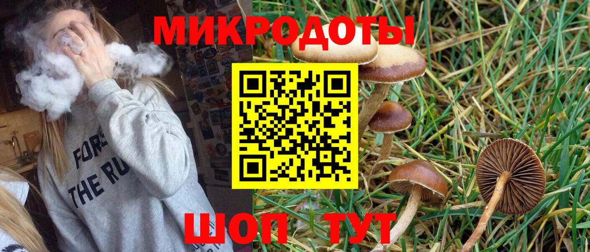 Галлюциногенные грибы MAGIC MUSHROOMS Кондопога