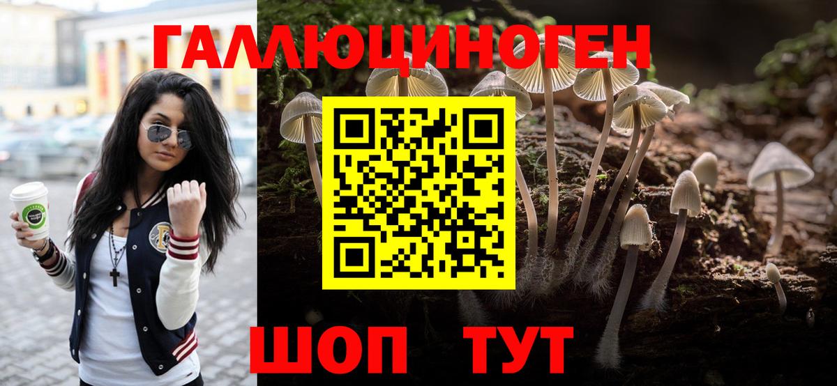 Кондопога  Галлюциногенные грибы прущие грибы  где найти   Галлюциногенные грибы мухоморы  Вход с VPN 