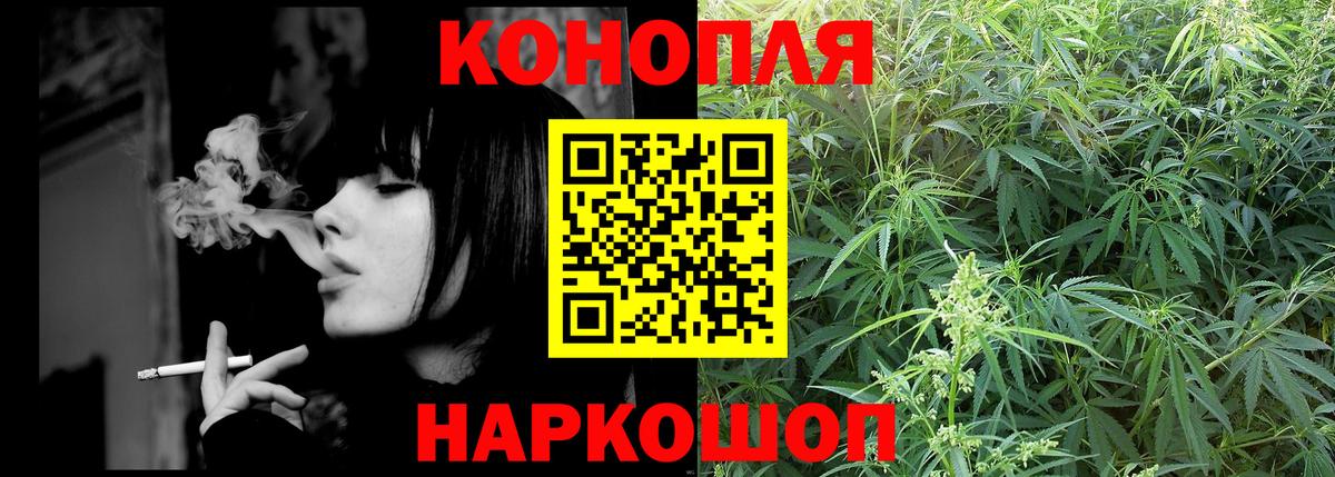 Бошки Шишки план Кондопога